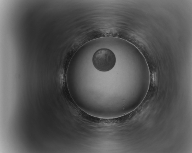 X0000090710963200707201212