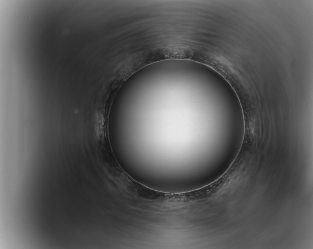 X0000090710964200707201212