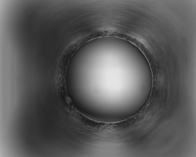 X0000090710967200707201212