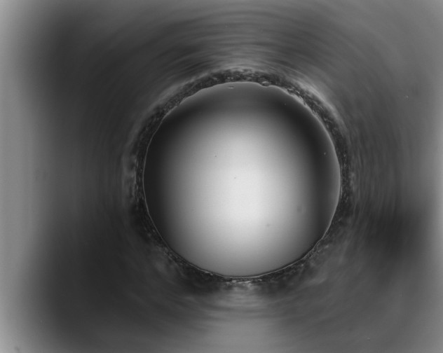 X0000090710968200707201212