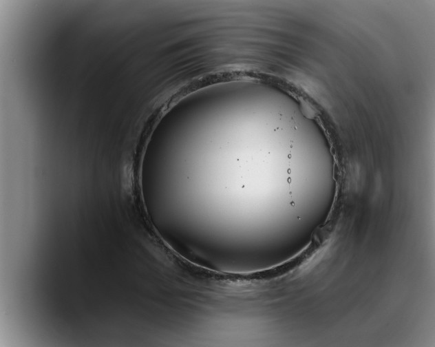 X0000090710969200707201212