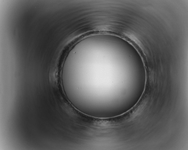 X0000090710971200707201212