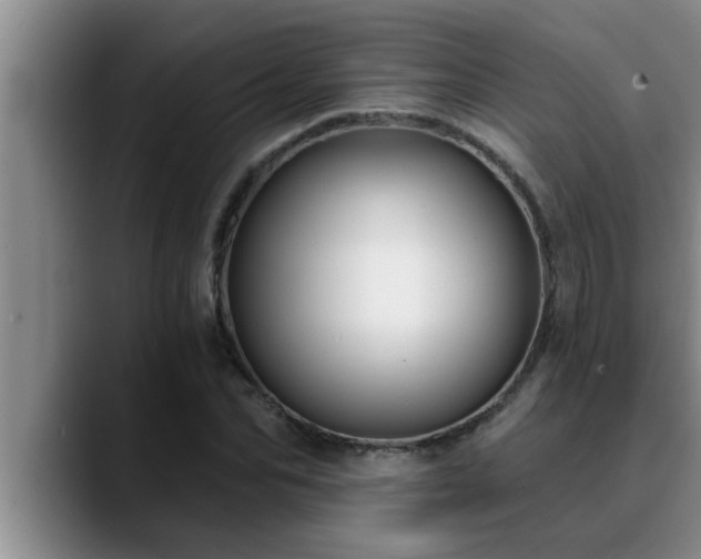 X0000090710974200707201212