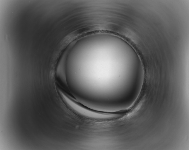 X0000090710977200707201212