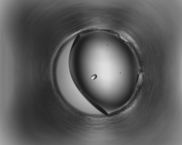 X0000090710981200707201212