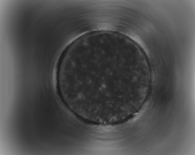 X0000090710983200707201212