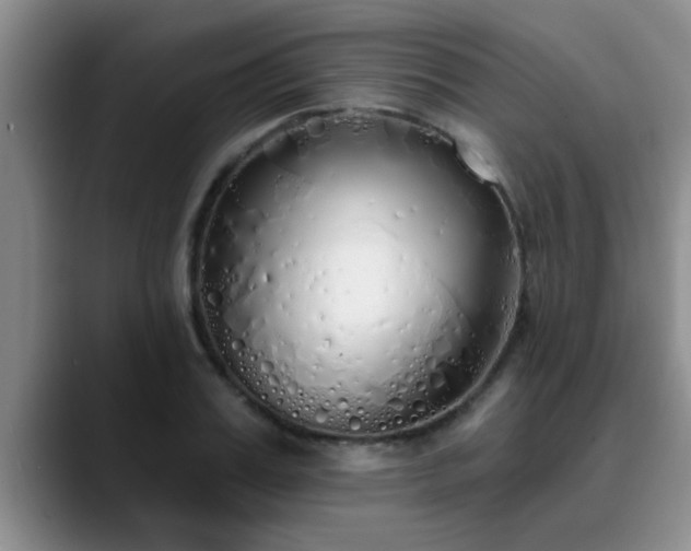 X0000090710987200707201212