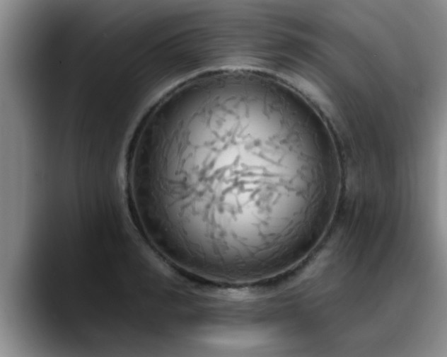 X0000090710990200707201212