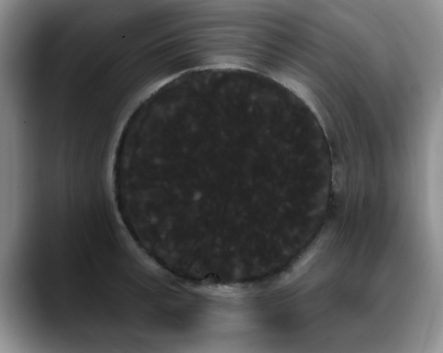 X0000090710995200707201212