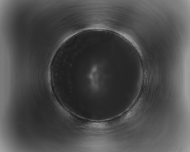 X0000090710998200707201212