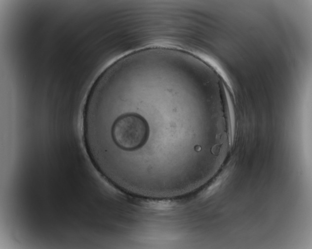 X0000090710999200707201212