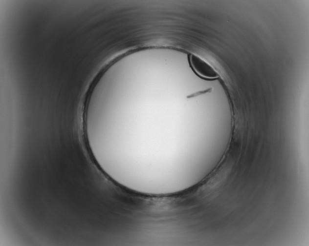 X0000090711000200707201212