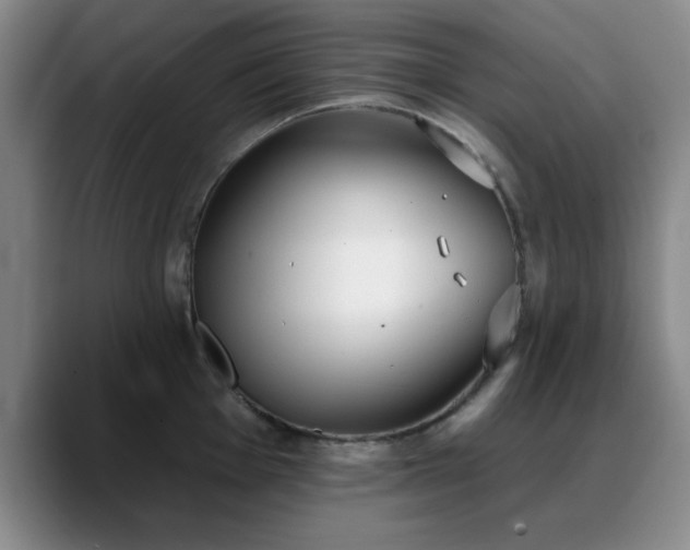 X0000090711001200707201212