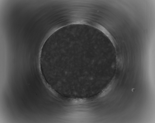 X0000090711002200707201212