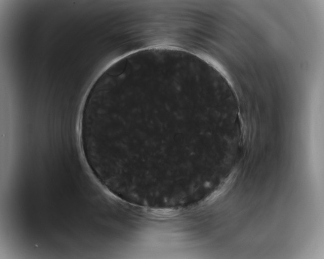 X0000090711007200707201212