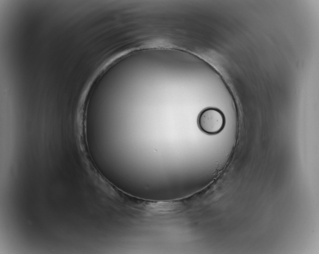 X0000090711008200707201212