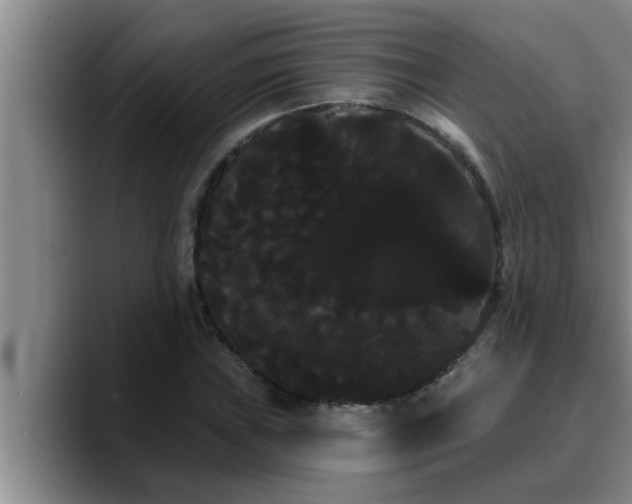 X0000090711019200707201211