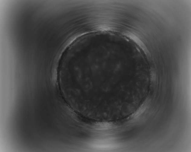 X0000090711023200707201211