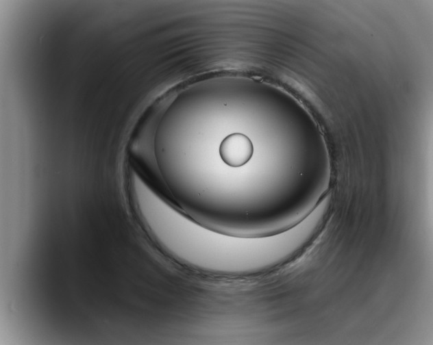 X0000090711026200707201211