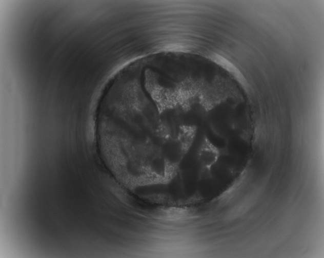 X0000090711027200707201211