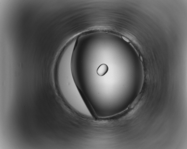 X0000090711030200707201212