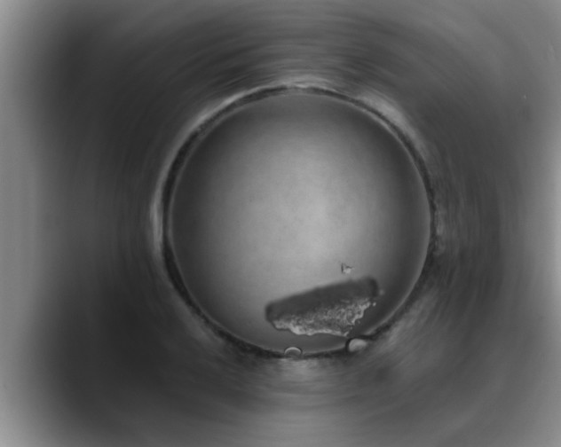 X0000090711032200707201212