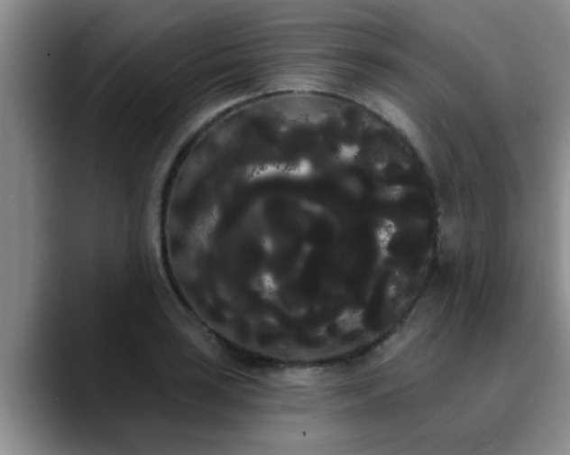 X0000090711035200707201212