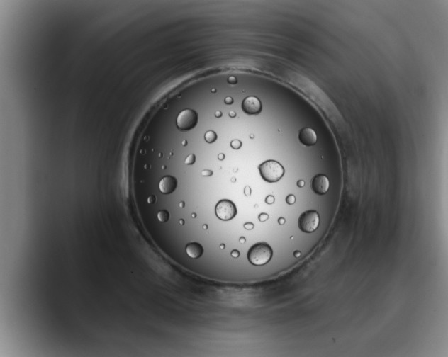 X0000090711036200707201212