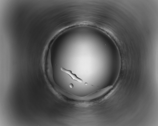 X0000090711038200707201212