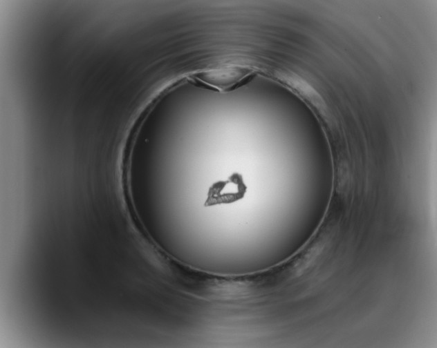 X0000090711039200707201212