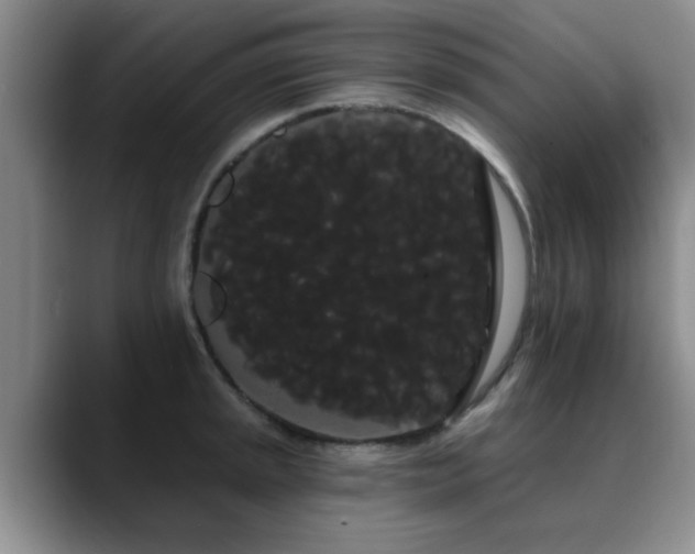 X0000090711045200707201212