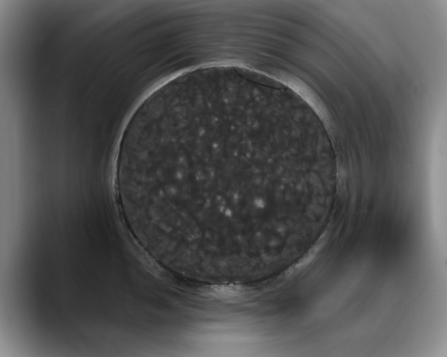 X0000090711052200707201212