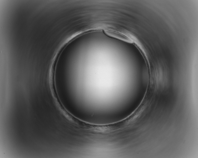 X0000090711053200707201212