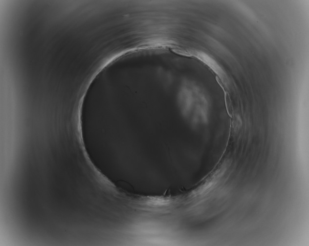 X0000090711055200707201212