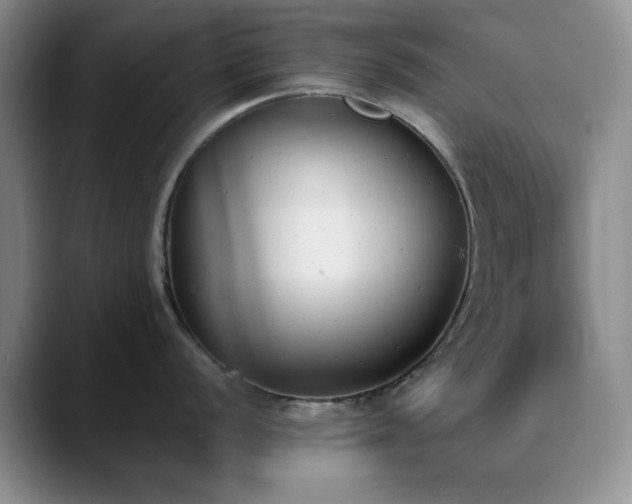 X0000090711056200707201212