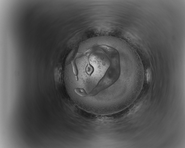 X0000090711059200707201211