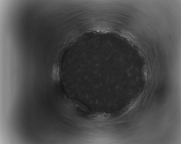 X0000090711060200707201211