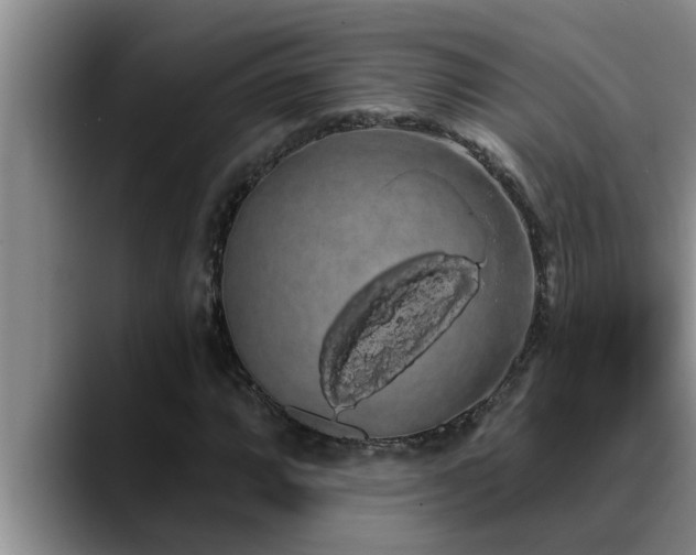 X0000090711064200707201211