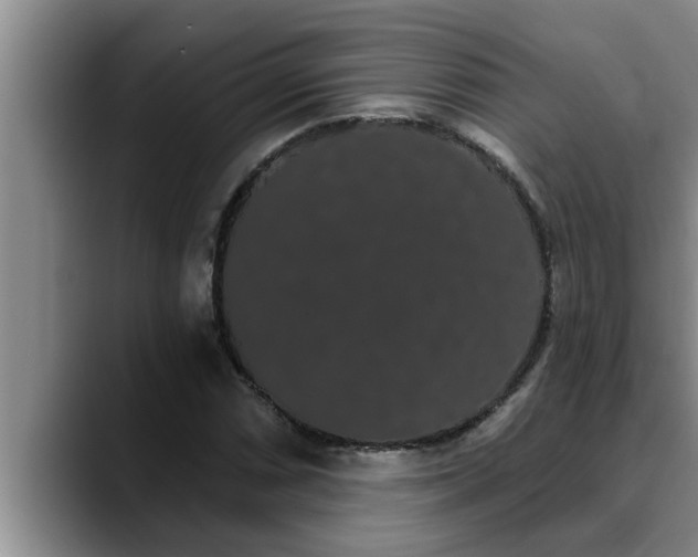 X0000090711066200707201211