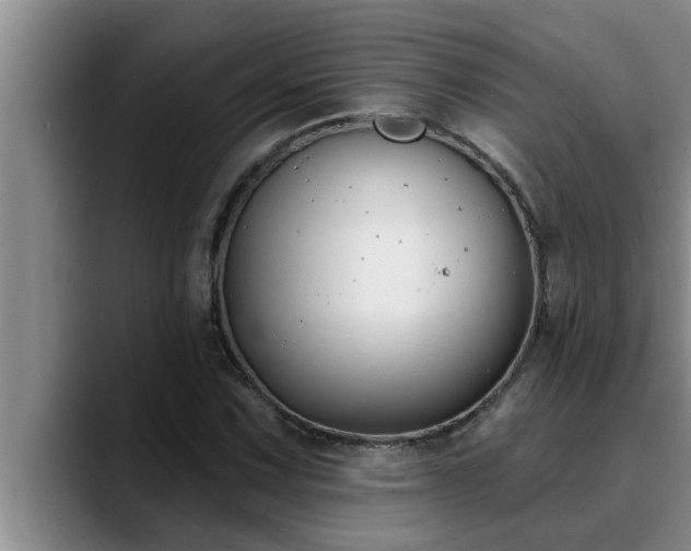 X0000090711067200707201211