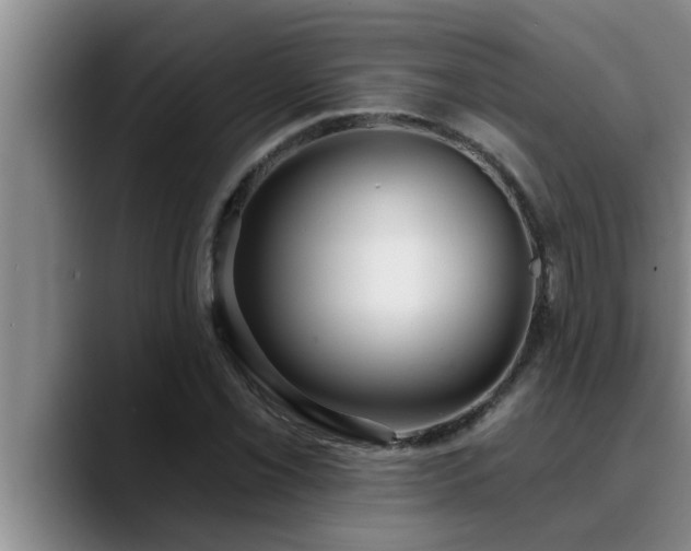 X0000090711069200707201211