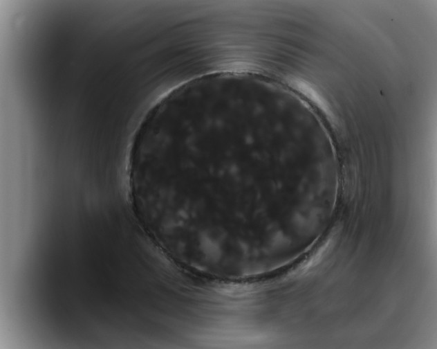 X0000090711071200707201211