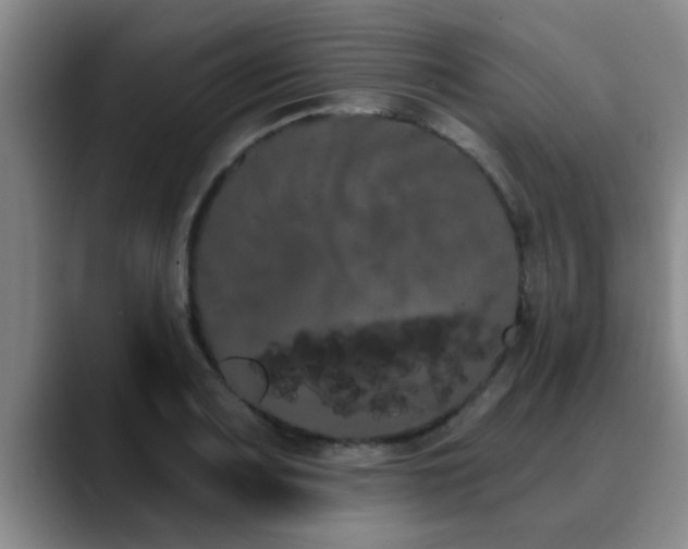 X0000090711083200707201211