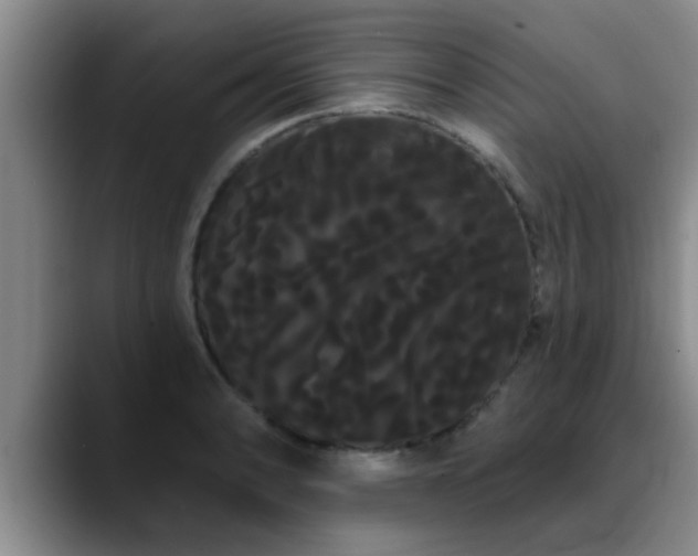 X0000090711086200707201211