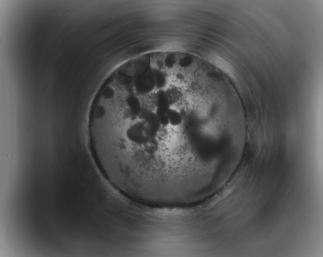 X0000090711087200707201211