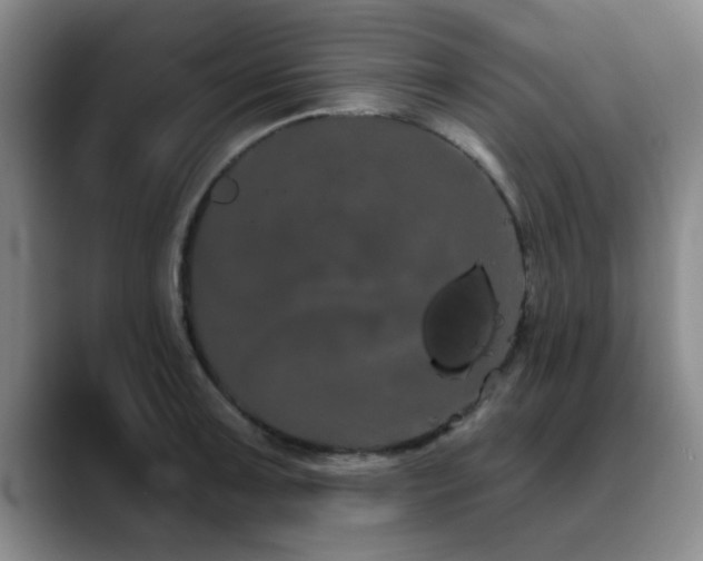 X0000090711091200707201211