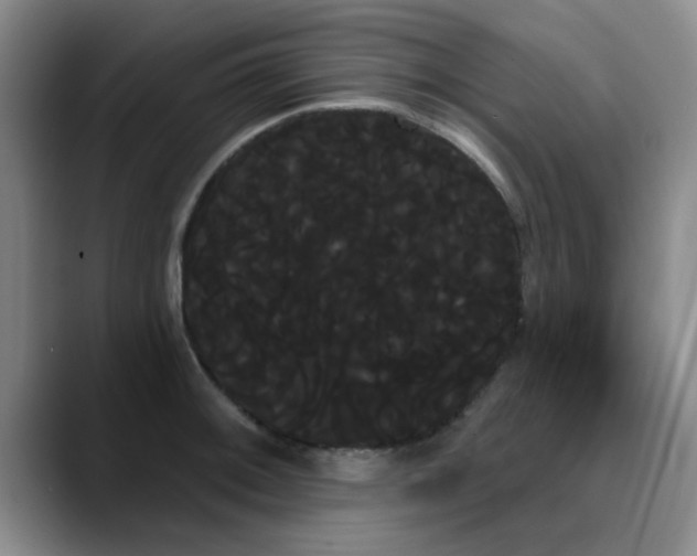 X0000090711092200707201211