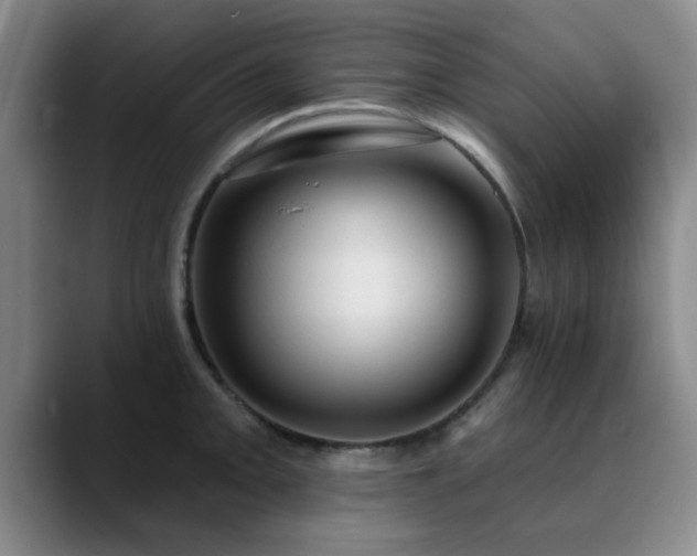 X0000090711093200707201211