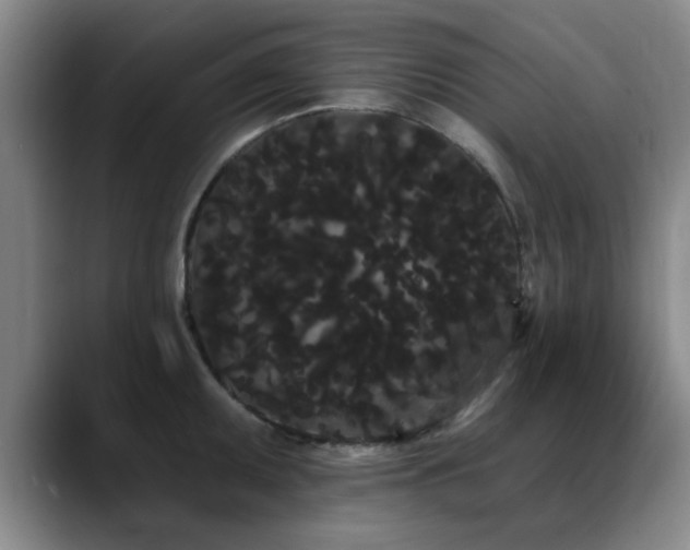 X0000090711095200707201211