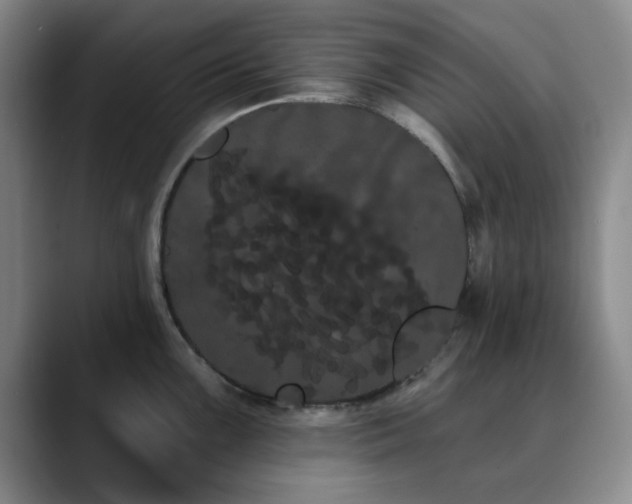 X0000090711099200707201211